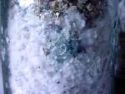 jar contaminated with green mold